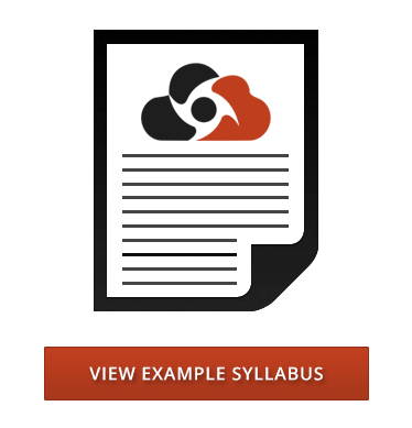 DDoS Training - View Example Syllabus
